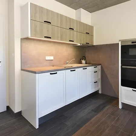Jeleni Boudy Apartament *
