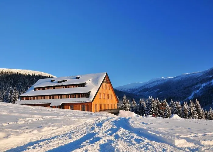 Jeleni Boudy Daire *