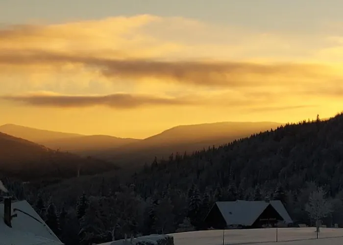 Daire Jeleni Boudy *