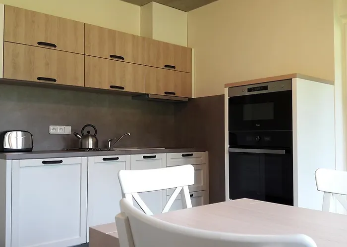 Jeleni Boudy Špindlerŭv Mlýn