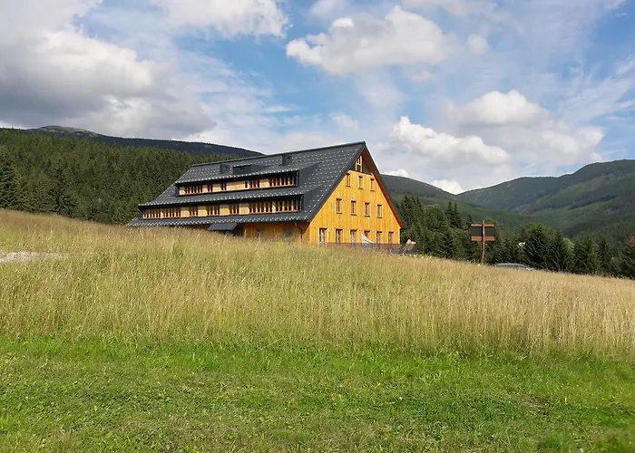 Jeleni Boudy Daire *